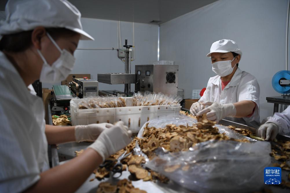 mg赌场下载